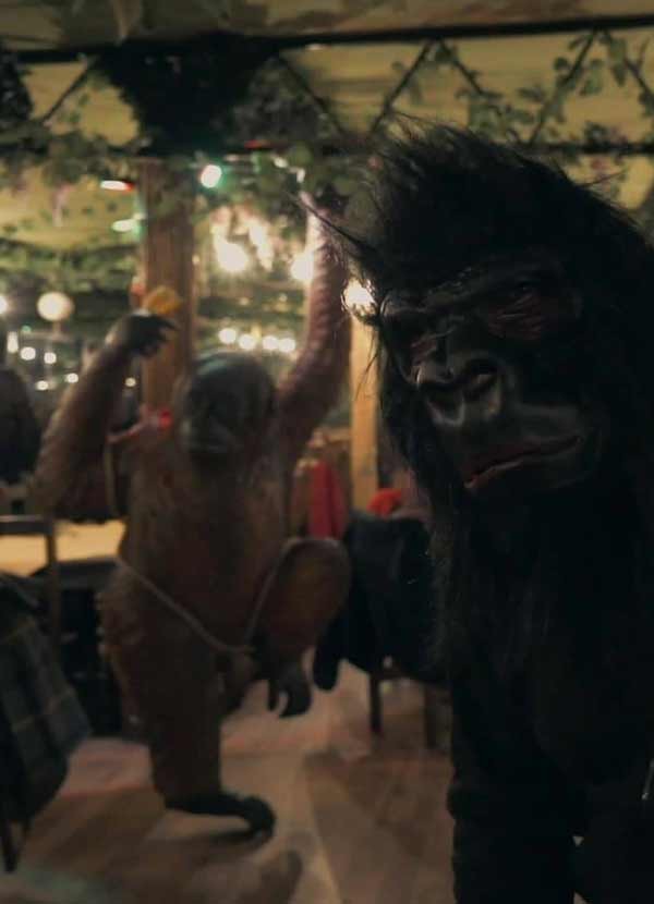 Gorilla Theme Pub